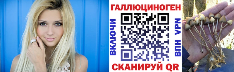 Псилоцибиновые грибы мухоморы  Купить где  Пенза 